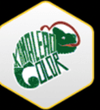 Kamaleão Color